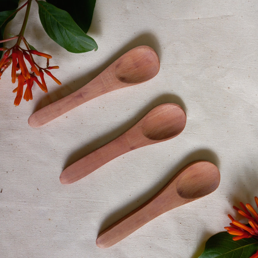 Praacheen Vidhaan - Natural Wooden Spoons (Non-Polished) - Pack of 12