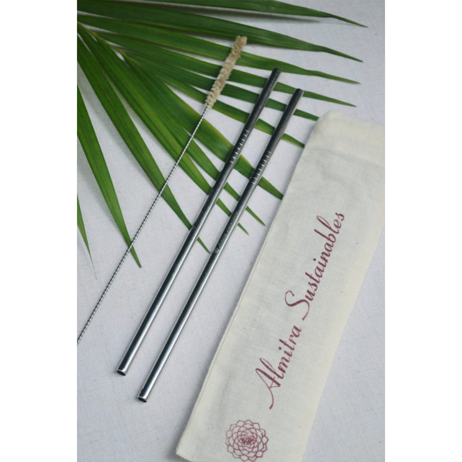 Almitra Stainless Steel straw (Straight) Pack of 2 with 1 Cleaner