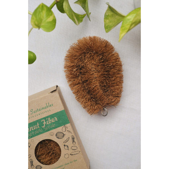 Coconut Tawashi Fiber Vegetable Cleaning Brush Natura Multipurpose